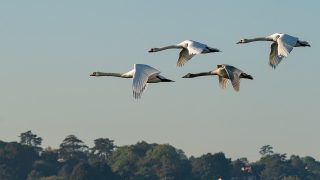 物事すべて変化する