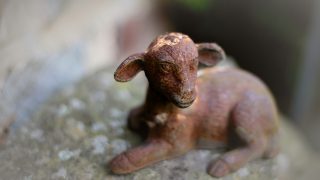 今年は10の災いを越した。わたしにとっての「過ぎ越し」だったかな