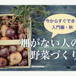 【ビデオ】畑がない人の野菜づくり入門・秋