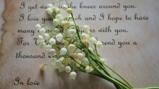 すごく真面目な話。選挙に一喜一憂しないでね