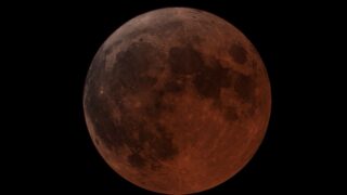 ちょ、待てよ！りーかお予言成立か！