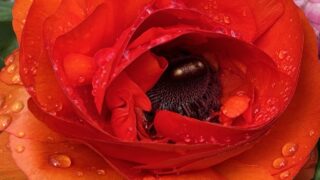 【お知らせ】サイトリニューアルと価格改定